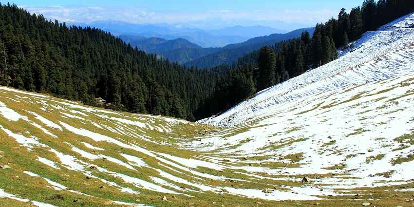 Wildlife spotting in Mandi