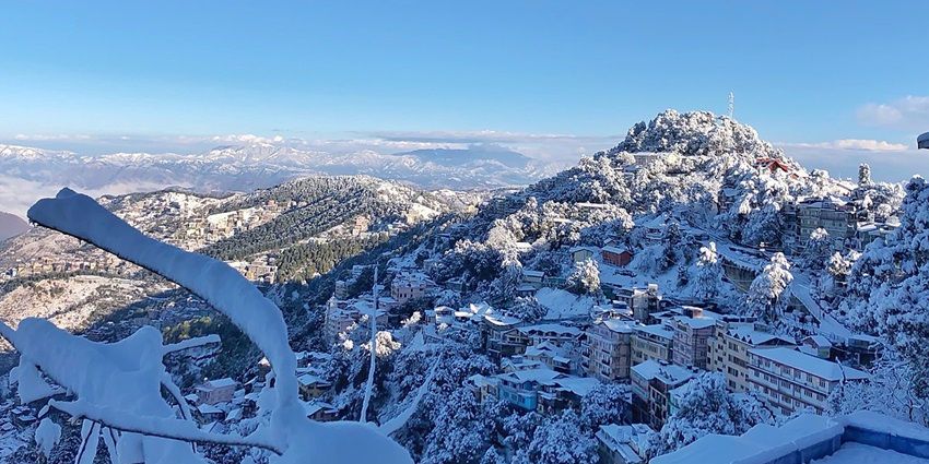 Snow covered mountains and trees in Shimla