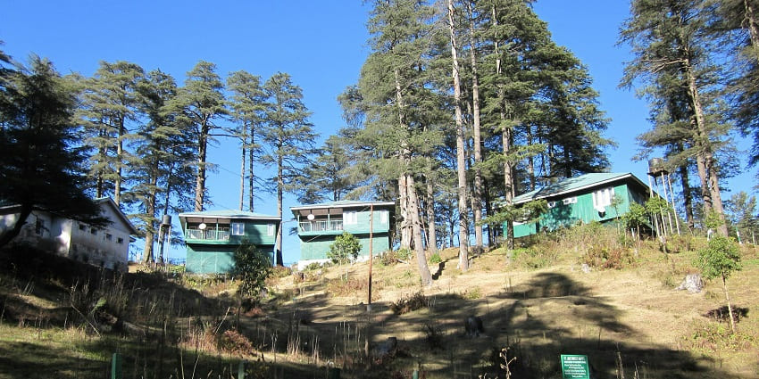 The trek trail to Shiva Garh through captivating pine forests offers a tranquil ambience.