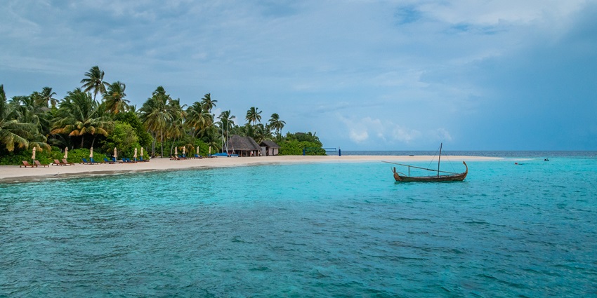 A Bluefin trevally fish shoal under the clear blue waters of Cinque Island in Andaman.