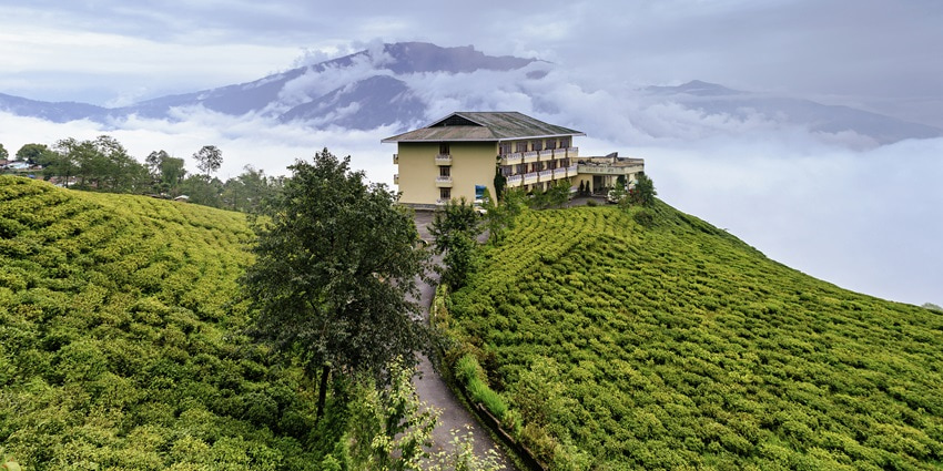 A distant picture of a hilltop resort inside a tea garden in Sikkim, surrounded by tea plantations