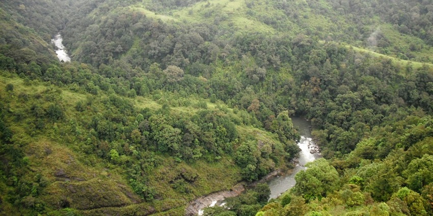 Stroll in the green lush Silent Valley National Park – Things to do in Palakkad