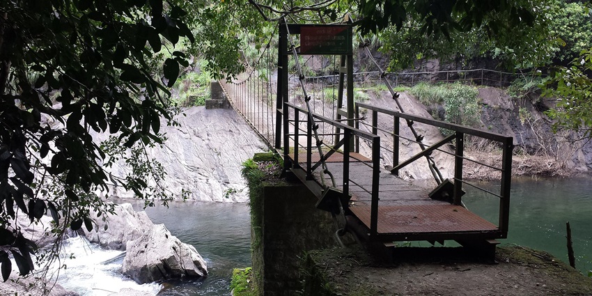 A glimpse of the Silent Valley National Park featuring a bridge amidst lush greenery.