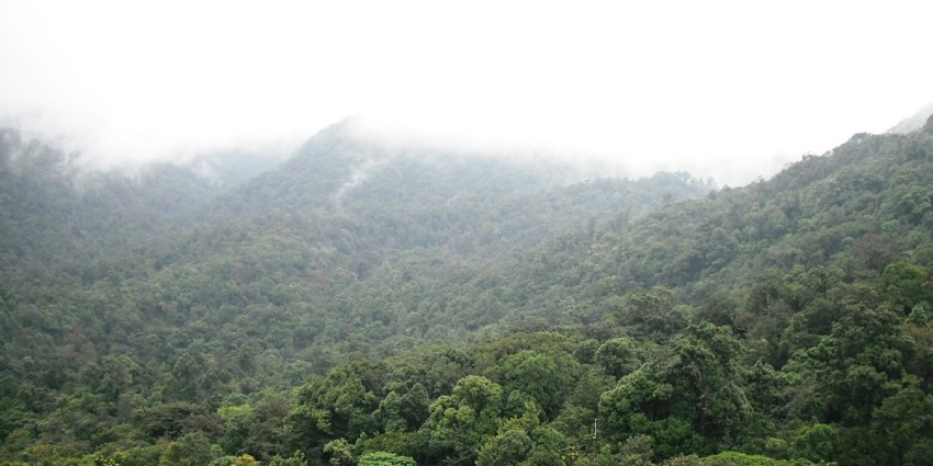 This park, with the absence of Cicadas, is a quiet retreat one can have while visiting the waterfalls.