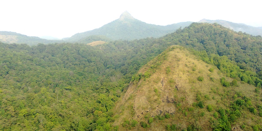 Witness some endangered species and fauna at Silent Valley attraction near the region.