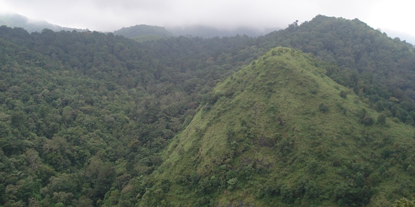 A lush green view of the Silent Valley National Park near Karimpuzha Wildlife Sanctuary.