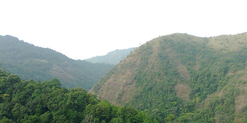 A jaw-dropping view of the Silent Valley National Park, a UNESCO world heritage site.