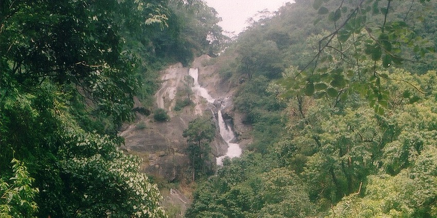 Witness the serene Siruvani Waterfalls, one of the hill stations in Palakkad, Kerala.