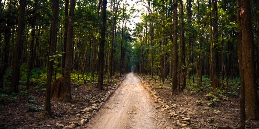 Sitabani Reserve is one of the best places to visit near oldest national park in India.