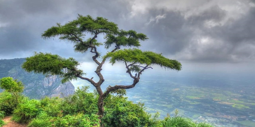 Sithar Kundi viewpoint of Nelliyampathy- one of the most thrilling hill stations near Kochi
