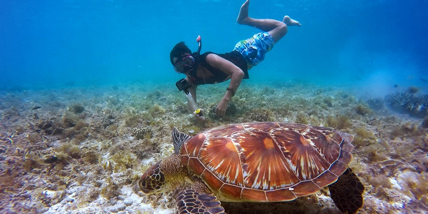 A man snorkelling deep into the ocean wearing an oxygen mask with a turtle besides him.
