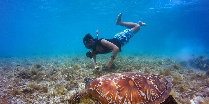 Stunning view of a man snorkelling underwater with a big brown tortoise above coral reefs.