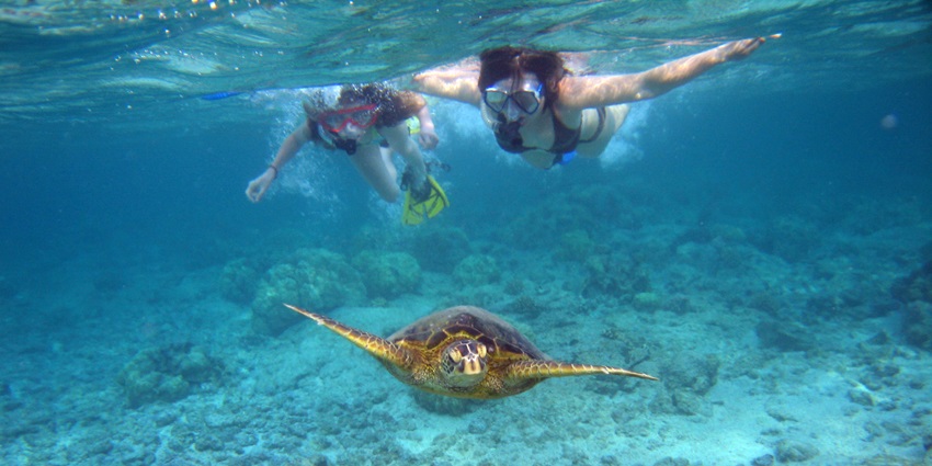 Witness the amazing marine life of the Andaman Sea while snorkelling in the clear waters