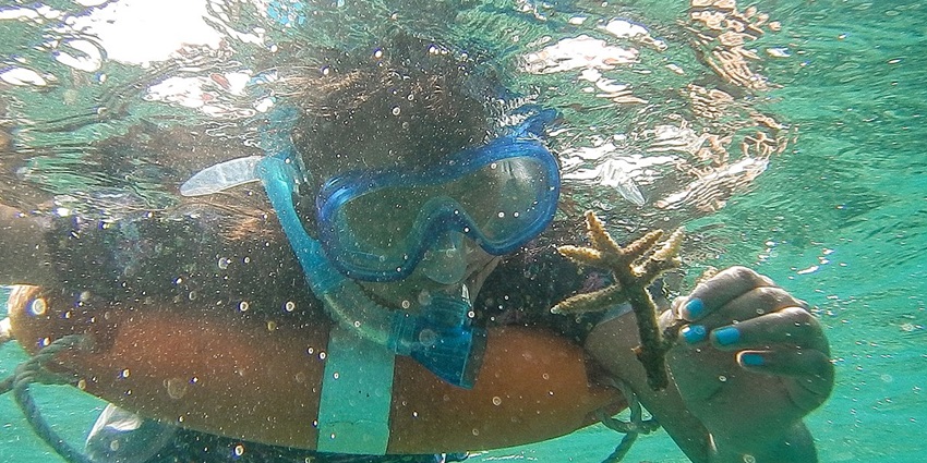 Snorkelling at the Beach is one of the most exciting and adventurous experiences.