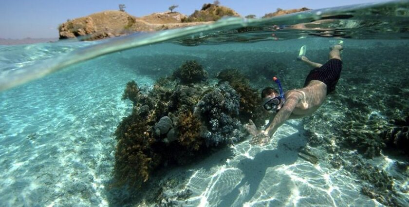 A view of a snorkeler, off the shore, with all the essential gears and equipment.