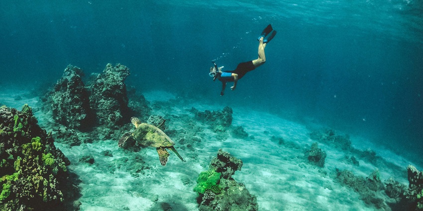 Get an adrenaline rush by snorkelling at Jolly Buoy & spot exotic species and turtles