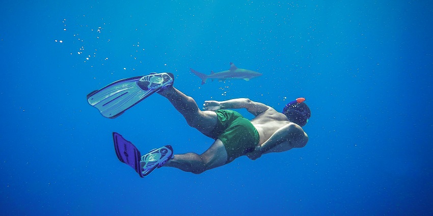 Snap of Divers Performing Snorkelling - Scuba Diving in Kerala