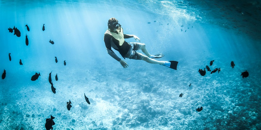 A view of a person snorkelling under water amidst a school of fish and coral reefs.