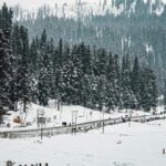 A scenic view of Kashmir covered in a blanket of pristine snow and dotted with pine trees.