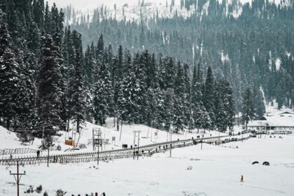 A scenic view of Kashmir covered in a blanket of pristine snow and dotted with pine trees.