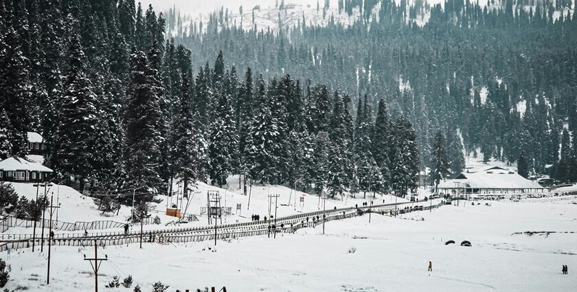 A scenic view of Kashmir covered in a blanket of pristine snow and dotted with pine trees.