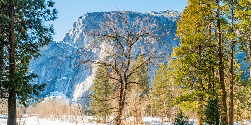 Kazinag National Park is mostly snow-covered and has a rich diversity of flora and fauna.