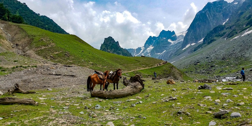 Meadows of Sonamarg is a tourist attraction in Kashmir and best place to visit in winters