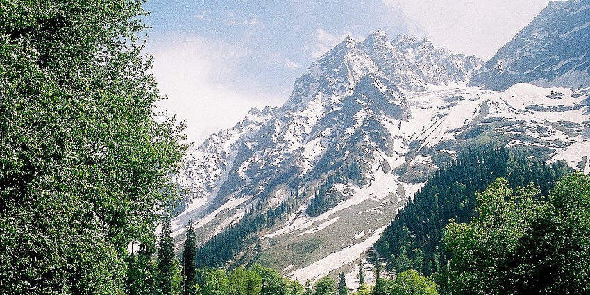 The view of greenery unfolding in Sonmarg with snow-capped mountains in the backdrop