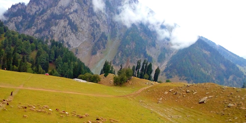 Visit scenic places like the Hirpora Wildlife Sanctuary which is known for its magnificent flora