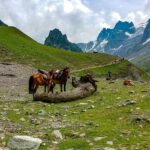 View of scenic Sonamarg, which is one of the best places to visit in Kashmir in July