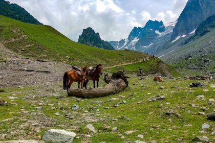 View of scenic Sonamarg, which is one of the best places to visit in Kashmir in July