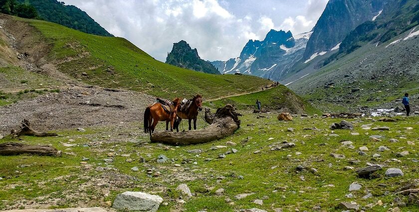 View of scenic Sonamarg, which is one of the best places to visit in Kashmir in July