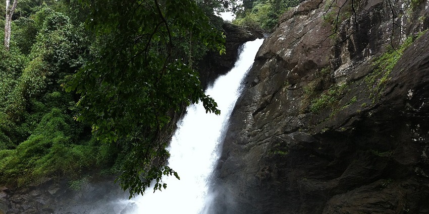 Scenic Soochipara Falls, cascading down a rocky cliff surrounded by dense forest.