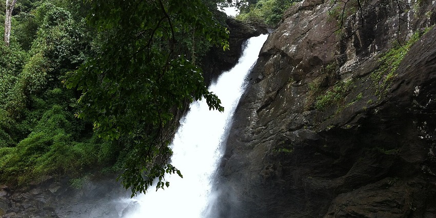 A breathtaking view of Soochipara Falls with free-flowing water around lush greenery.