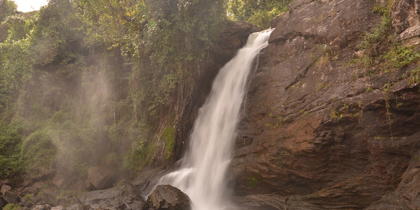 A great option amongst things to do in Wayanad is to enjoy the serenity of the charming Soochipara Falls.
