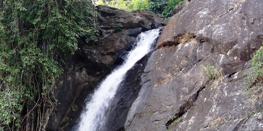Soochipara Waterfalls in Wayanad gushing down rocky cliffs amid thick green forest.