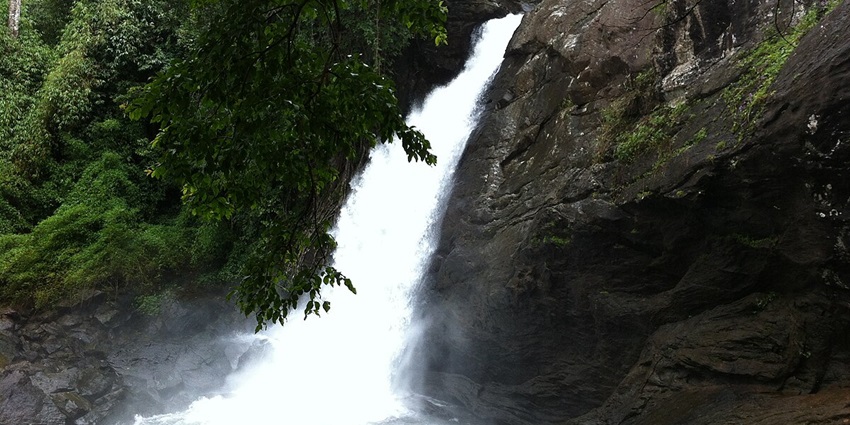 Soochipara waterfalls is one of the most picturesque places to visit in Wayanad with family