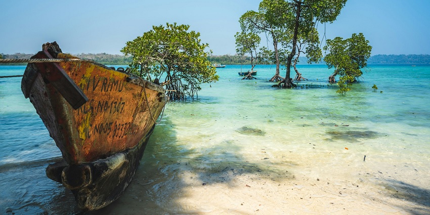 Witness a wide variety of fishes and coral reefs as you snorkel at South Button.