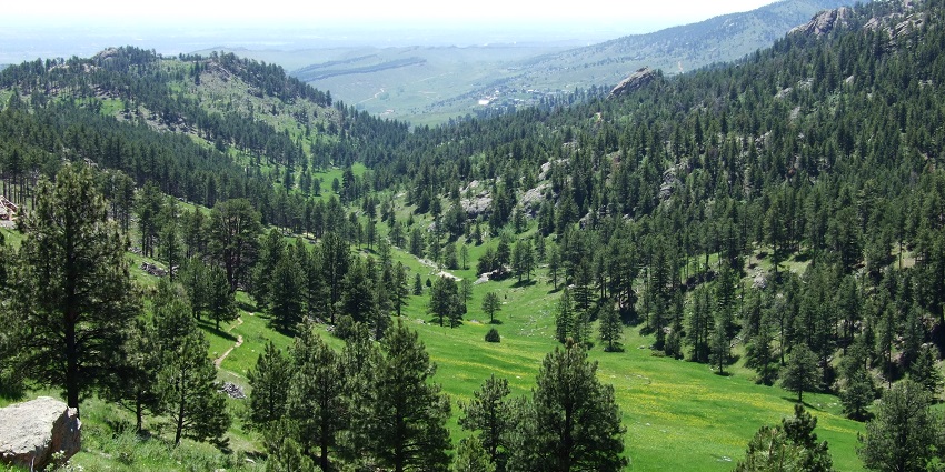 Cherish a blend of serenity and exquisiteness while exploring Spring Valley Mountain