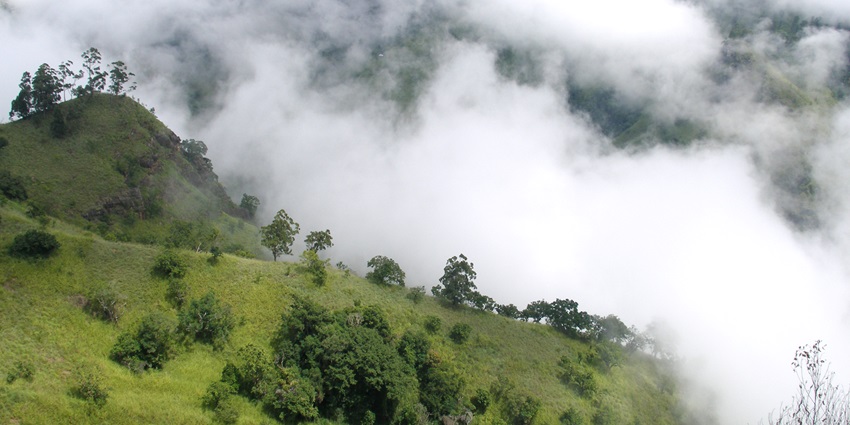 A picture of scenic mountains in Sri Lanka with a cloud cover mixing in with the high terrain