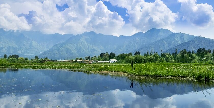 Gorgeous view of Srinagar's Dal Lake; from here, visitors may explore the Kashmir temples