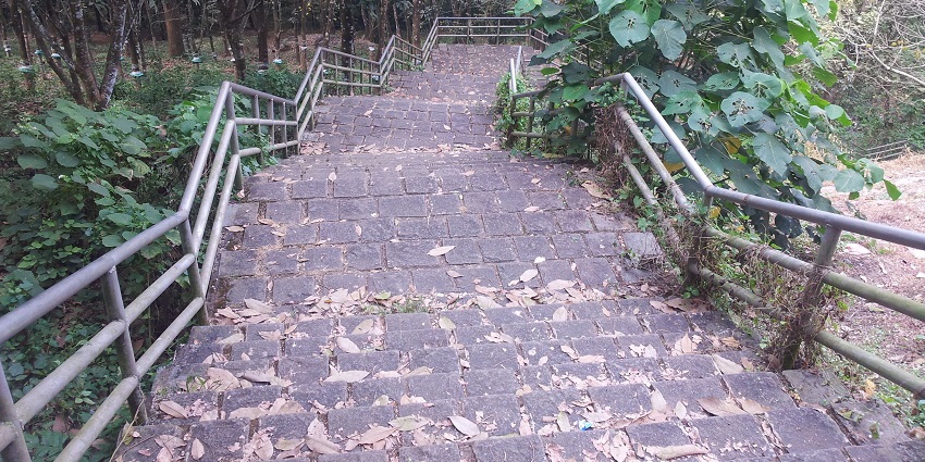 Stairs leading to Areekkal Waterfalls