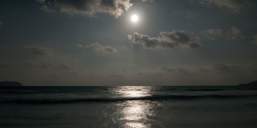 A scenic view of the moonlit sea at night that one can’t stop looking at for hours.