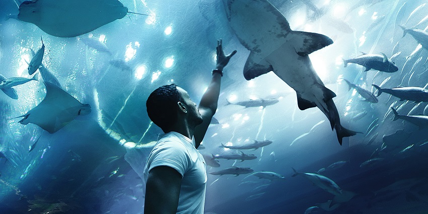 Explore the stunning art and architecture of the Dubai zoos on your trip to the UAE.