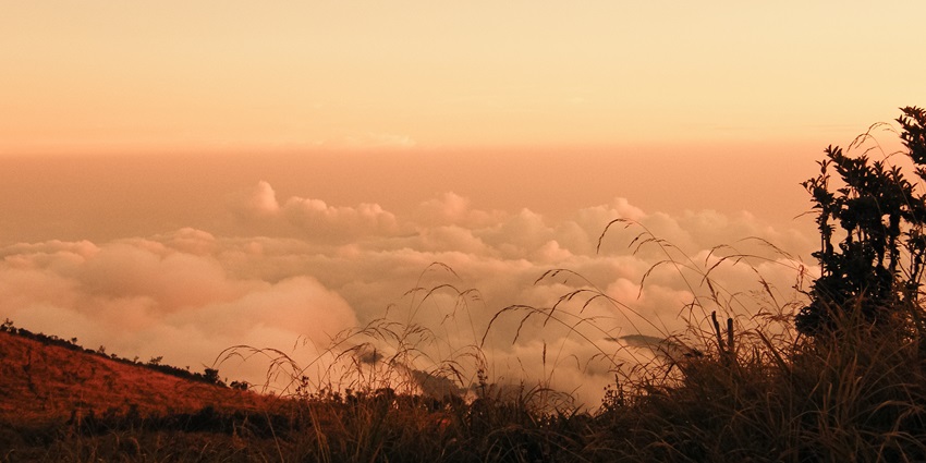 Singalila National Park has many stay options which one can select from as per budget.