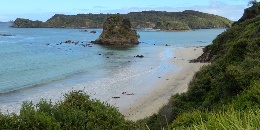Dense forests and quiet shores mark untouched Stewart Island in North and Middle Andaman.