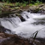 Kattikkayam Waterfalls , renders views which astonish the visitors and provide them soothing refreshment.