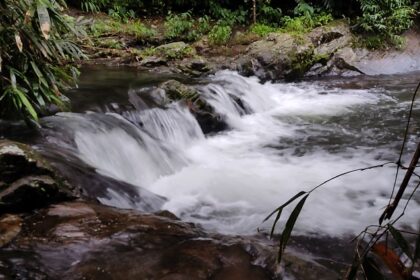 Kattikkayam Waterfalls , renders views which astonish the visitors and provide them soothing refreshment.