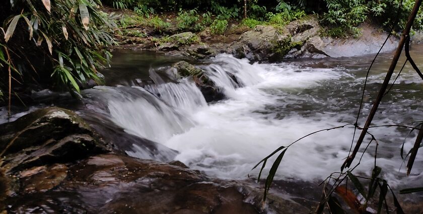 Kattikkayam Waterfalls , renders views which astonish the visitors and provide them soothing refreshment.