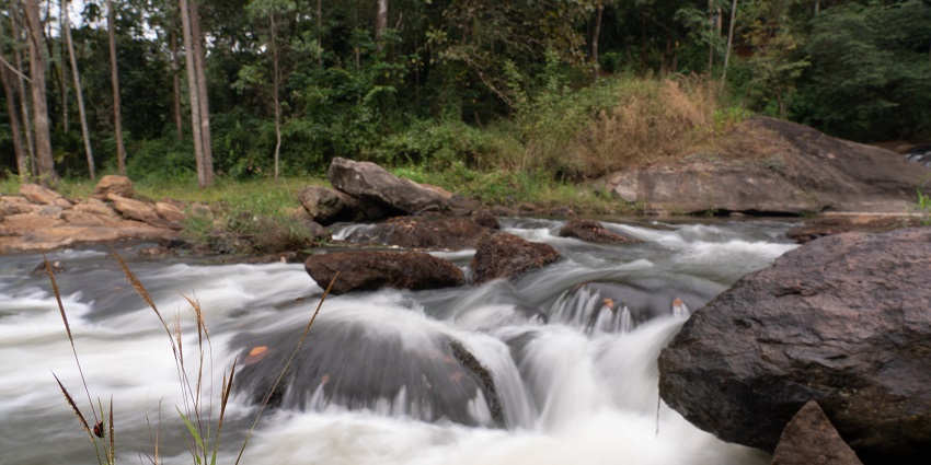 Thenvarikallu Waterfalls is one of the renowned and famous waterfalls in Kasaragod